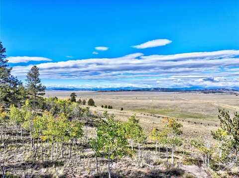 1400 GARFIELD ROAD, Hartsel, CO 80827