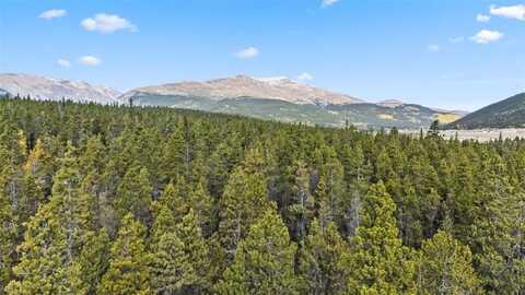 401 WILLOW LANE, Alma, CO 80440