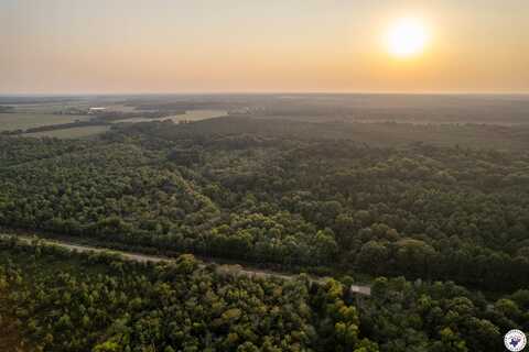 TBD Little River 35 (40 acres), Ogden, AR 71822
