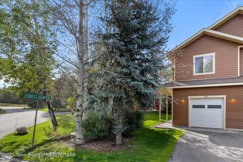 448 FOREST VIEW Drive, Driggs, ID 83422