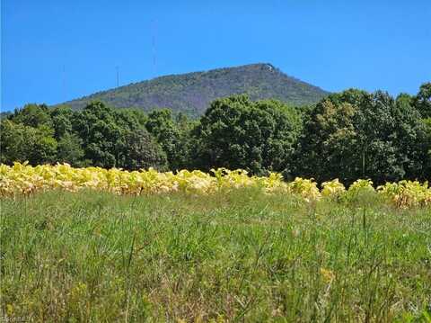 00 Old Mill Road, Pinnacle, NC 27043