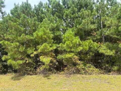 Tract 12 Belford Church Road, Jackson Springs, NC 27281