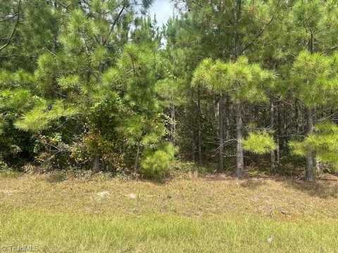 Tract 17 Belford Church Road, Jackson Springs, NC 27281