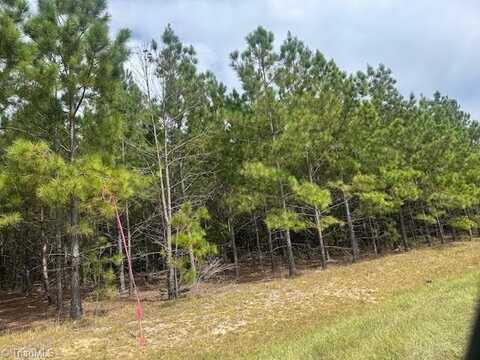 Tract 13 Belford Church Road, Jackson Springs, NC 27281