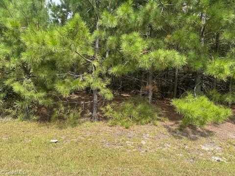 Tract 11 Belford Church Road, Jackson Springs, NC 27281