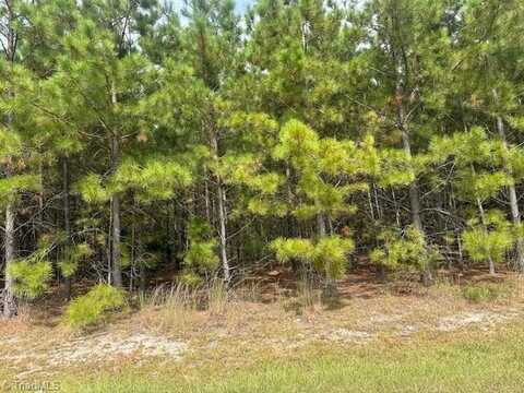 Tract 14 Belford Church Road, Jackson Springs, NC 27281