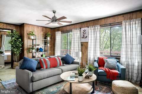 236 JUDD LANE, MOUNT JACKSON, VA 22842