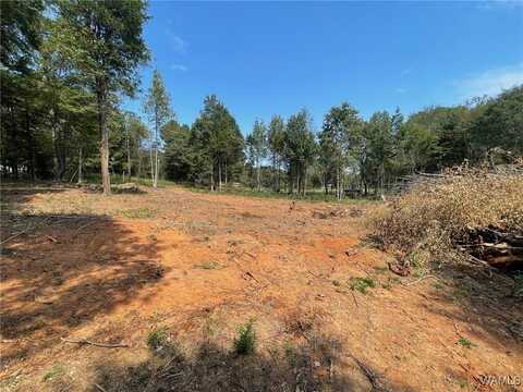 Sugarberry Farms lot: 5, Berry, AL 35546