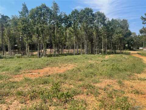 Sugarberry Farms lot: 4, Berry, AL 35546