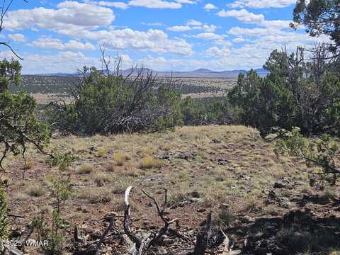 Tbd N8339, Concho, AZ 85924