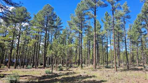 234 Deer Run Road, Lakeside, AZ 85929