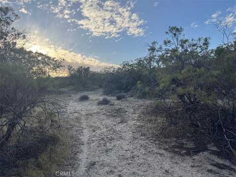 Springbrook Trail, Anza, CA 92539