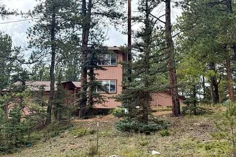 Trout Creek, DIVIDE, CO 80814