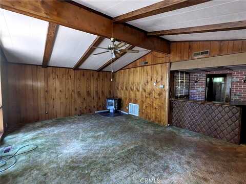 Jack Pine, MAGALIA, CA 95954