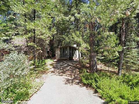 Jack Pine, MAGALIA, CA 95954