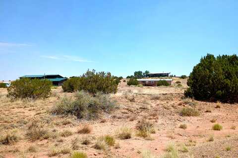 Mclaws, SNOWFLAKE, AZ 85937