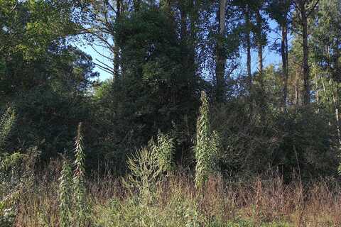 Forest, SALUDA, VA 23149