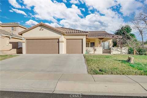 Daylily, BEAUMONT, CA 92223