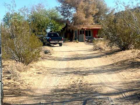 Single Tree, JOSHUA TREE, CA 92252