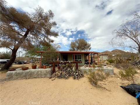 Single Tree, JOSHUA TREE, CA 92252