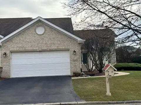 Elderberry, ORLAND PARK, IL 60467