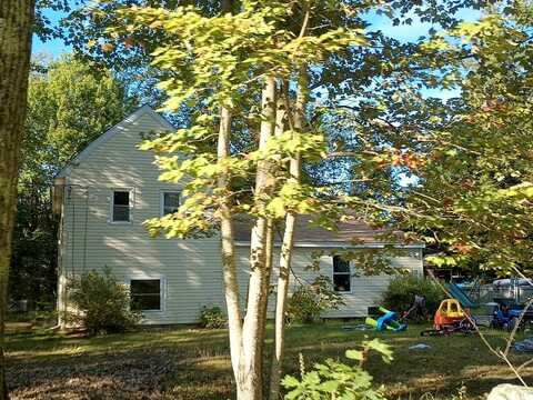 Ash, NORTHWOOD, NH 03261