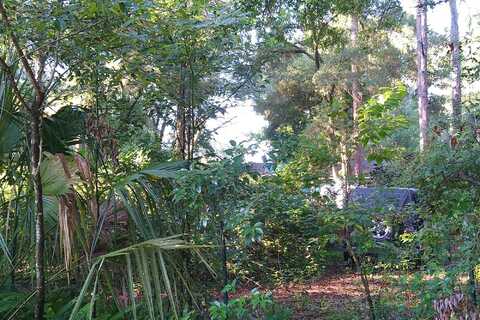 Jeff, APOPKA, FL 32712
