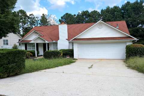 Thorn Ridge, HAMPTON, GA 30228