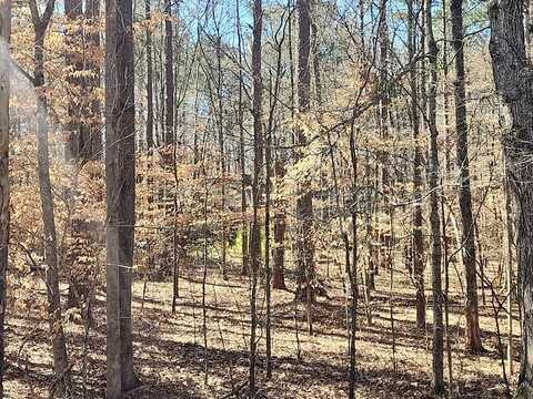Melanie, FAYETTEVILLE, GA 30214