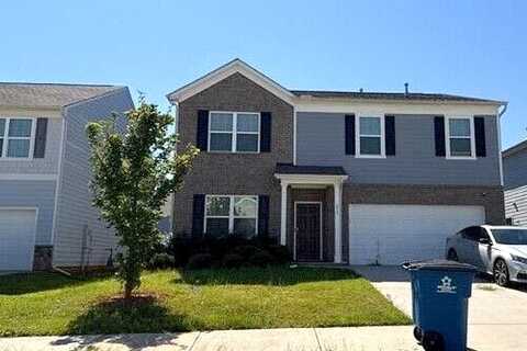Paulownia, MCDONOUGH, GA 30253