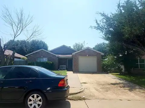 Lizzy, DALLAS, TX 75211
