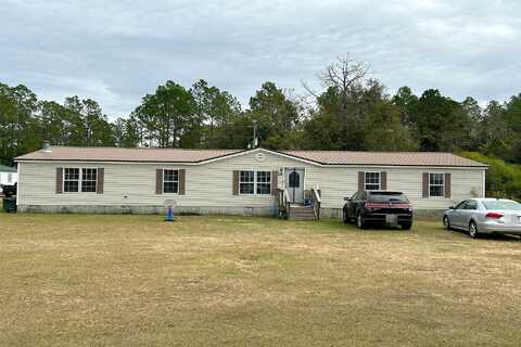 Bull, DAMASCUS, GA 39841