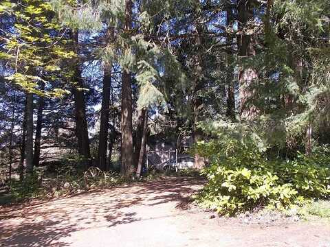 Brooks, PORTLAND, OR 97231
