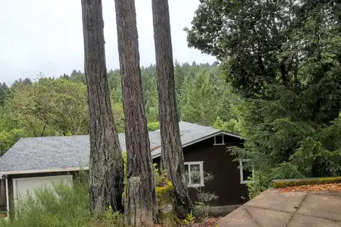Lilac, WILLITS, CA 95490