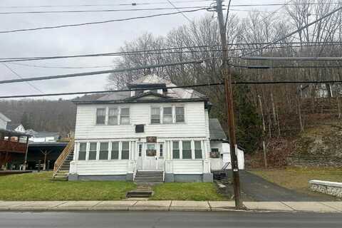 Chestnut, ONEONTA, NY 13820