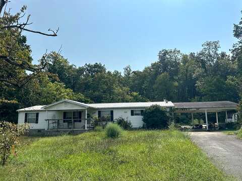 Carson Springs, NEWPORT, TN 37821
