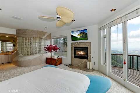 Willow, SKYFOREST, CA 92385