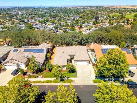Oxen, PASO ROBLES, CA 93446