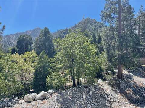 Conifer, FOREST FALLS, CA 92339