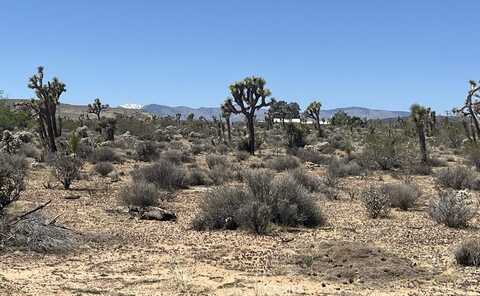 Yucca Mesa, LANDERS, CA 92285