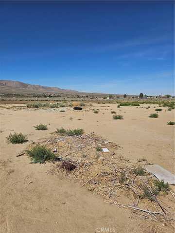 Alamo, LUCERNE VALLEY, CA 92356