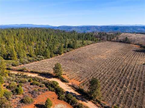 Doe Mill, FOREST RANCH, CA 95942
