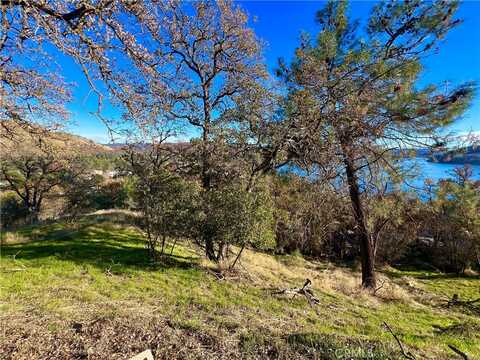 Sampson, CLEARLAKE PARK, CA 95424