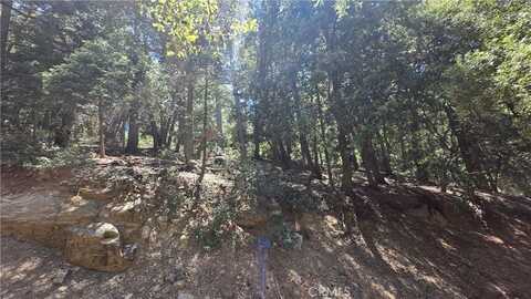Mojave River Road, Cedarpines Park, CA 92322