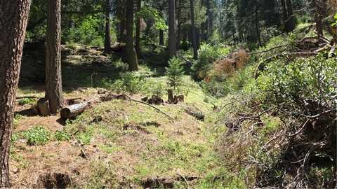 Deer Run Road, Cedarpines Park, CA 92322