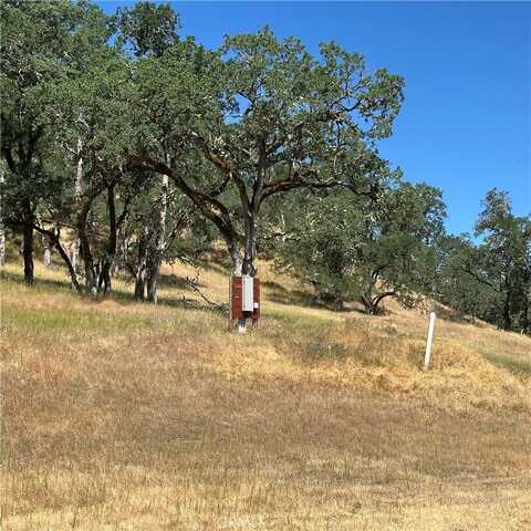Highway 29, Lakeport, CA 95453
