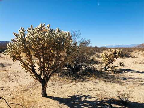 Appian Way, 29 Palms, CA 92277