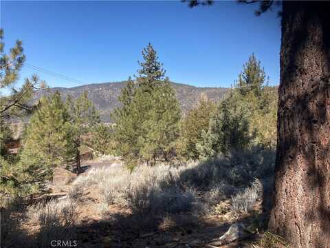 Chestnut, PINE MOUNTAIN CLUB, CA 93222