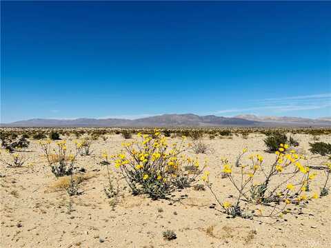 Near Shelton Road, 29 Palms, CA 92277