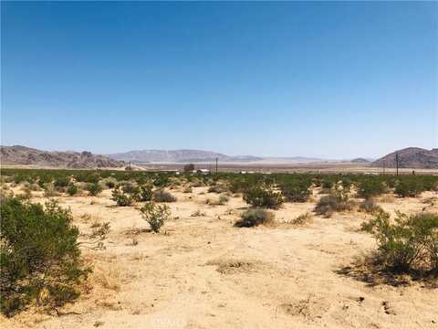 Near Dusty Mile Road, Landers, CA 92285